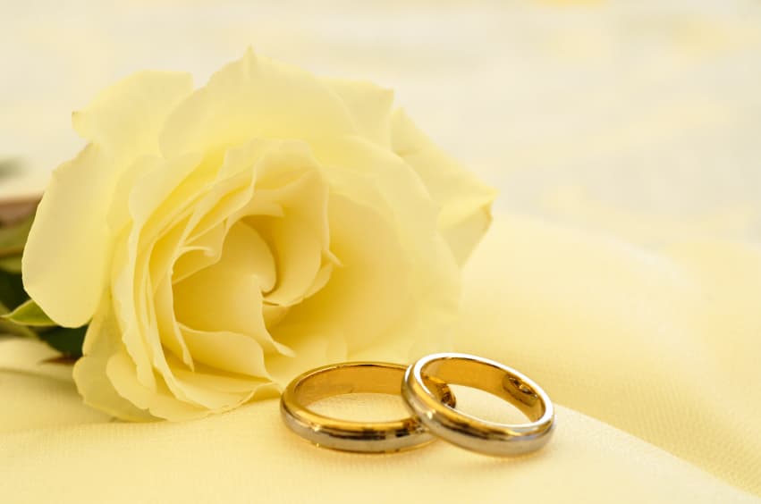 Roses and gold rings